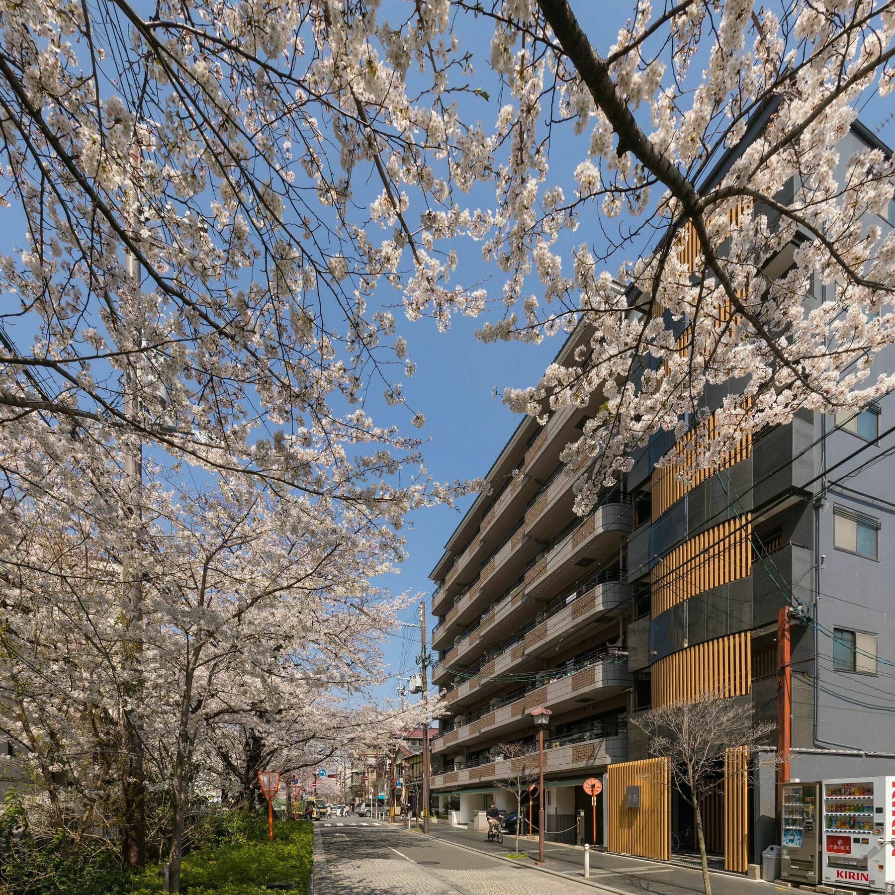 アパートホテル リバービューハウス 京楽 京都市